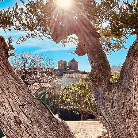 Melisande Au Pays Des Orjouliers Saint-Jean-de-Fos ภายนอก รูปภาพ