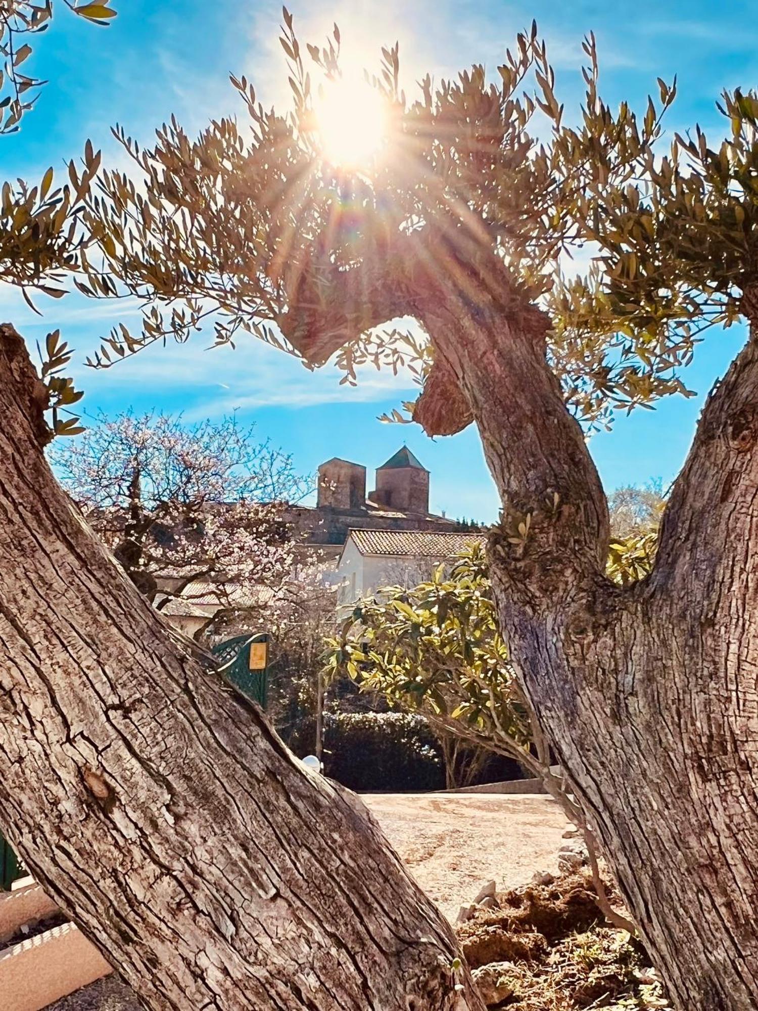 Melisande Au Pays Des Orjouliers Saint-Jean-de-Fos ภายนอก รูปภาพ