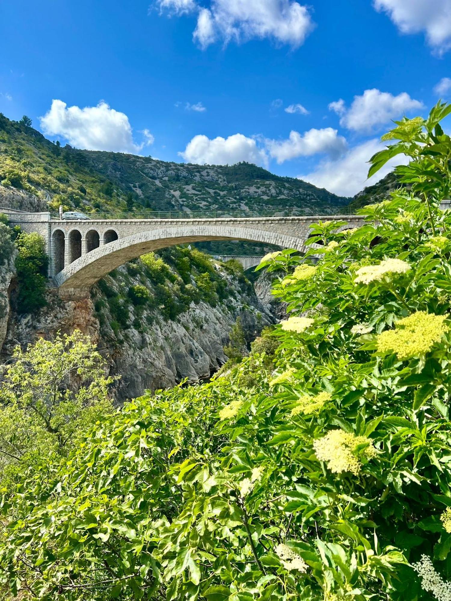Melisande Au Pays Des Orjouliers Saint-Jean-de-Fos ภายนอก รูปภาพ